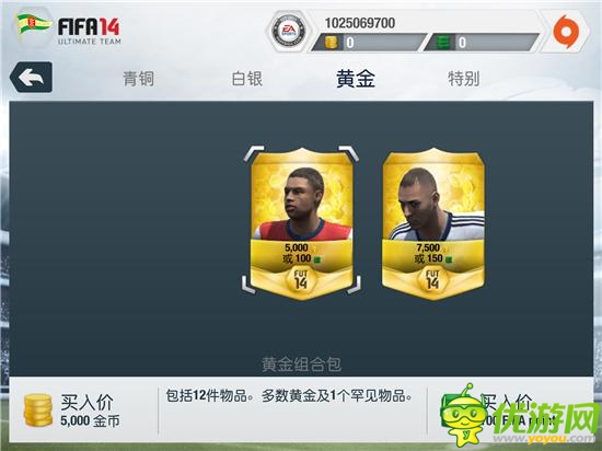 驰骋绿荫赛场:EA精品《FIFA 14》深度测评
