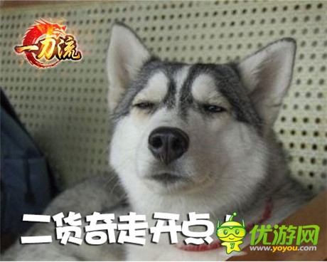 不做 天拓游戏《一刀流》宠物不只会卖萌