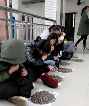 任性的惩罚《火影大人》寻找真正和平忍道