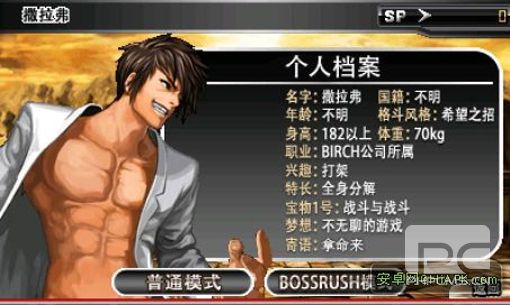 终极格斗游戏截图