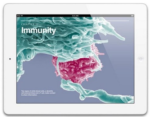传苹果iPad 5将于9月发布 比前一代轻25%