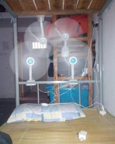 五花八门的避暑奇招：自制空调成本不足200