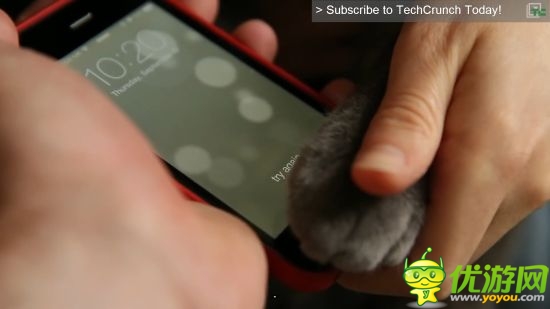 玩家测试iPhone5S解锁 乳房脚趾鼻头喵爪均可识别