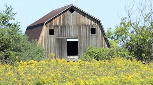 盘点世界各地囧囧可爱的建筑神作