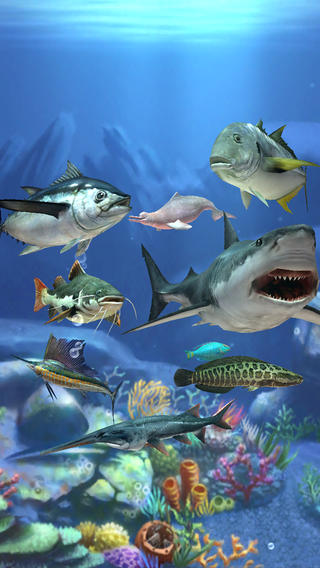 钓鱼发烧友截图欣赏