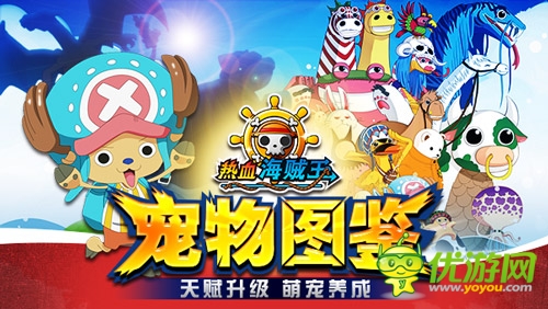 《热血海贼王》安卓新版全面进阶 豪华阵容送惊喜