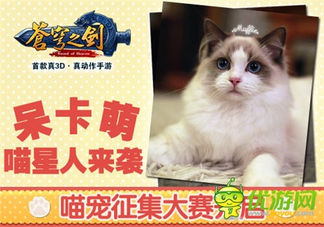 喵星人来袭 「苍穹之剑3D」喵宠征集大赛开启