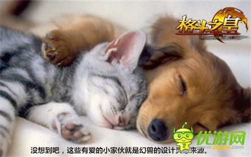 从无到有 力超拳皇 制作人谈《格斗之皇》