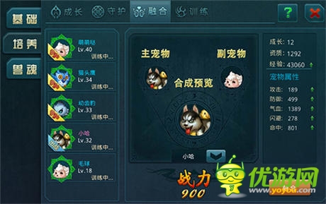 《神域之光》新增宠物融合 培育破坏王“哈士奇”