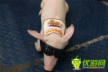 14年奇招频出 蜗牛手游CJ或将亮瞎狗眼