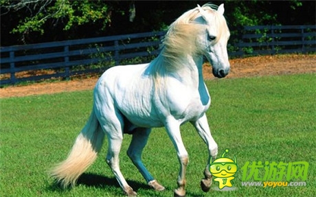 PK国战手游《三国战神》给力坐骑大猜想