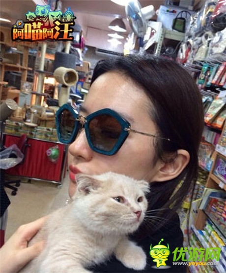 猫狗大对决《阿喵阿汪》明星声援团