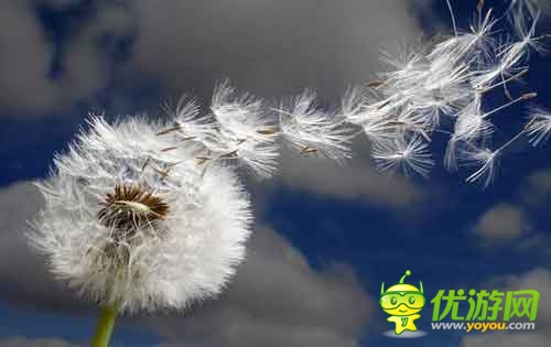 手游用户体验到底是什么？