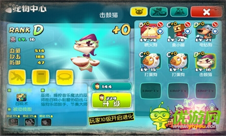 并肩作战闯天下《阿喵阿汪》宠物搭配大揭秘