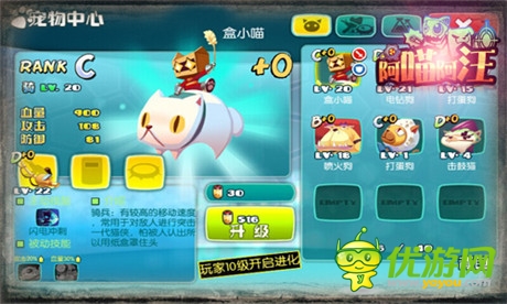 萌萌哒《阿喵阿汪》搞笑战斗宠物大起底(一)