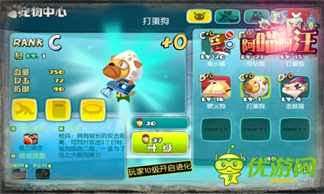 萌萌哒《阿喵阿汪》搞笑战斗宠物大起底(一)