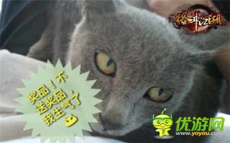 高手在民间《格斗江湖》玩家恶搞斗宠大赛