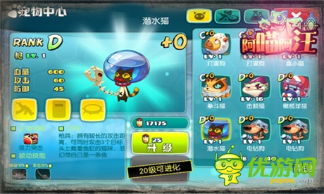 《阿喵阿汪》耍宝搞笑战斗宠物大起底(三)