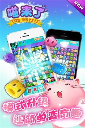 喵星人的卖萌生活《喵来了》有爱大揭秘