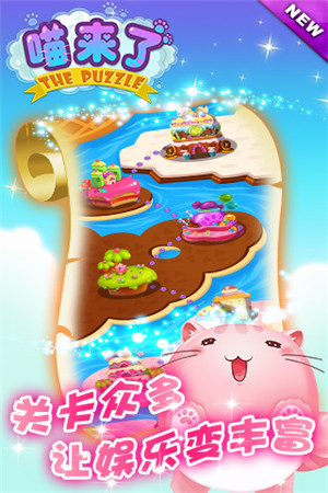 喵星人的卖萌生活《喵来了》有爱大揭秘