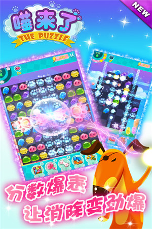 喵星人的卖萌生活《喵来了》有爱大揭秘