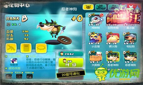 《阿喵阿汪》耍宝搞笑战斗宠物大起底